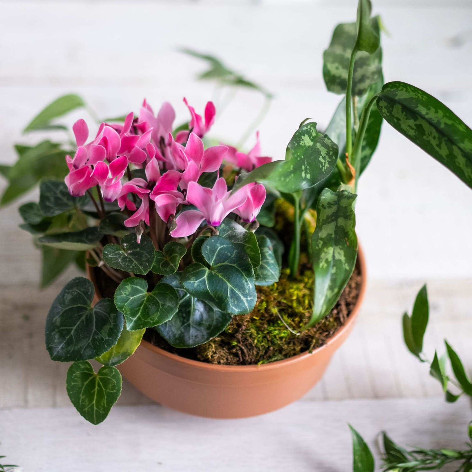 8" Garden Bowl Spring Arrangement