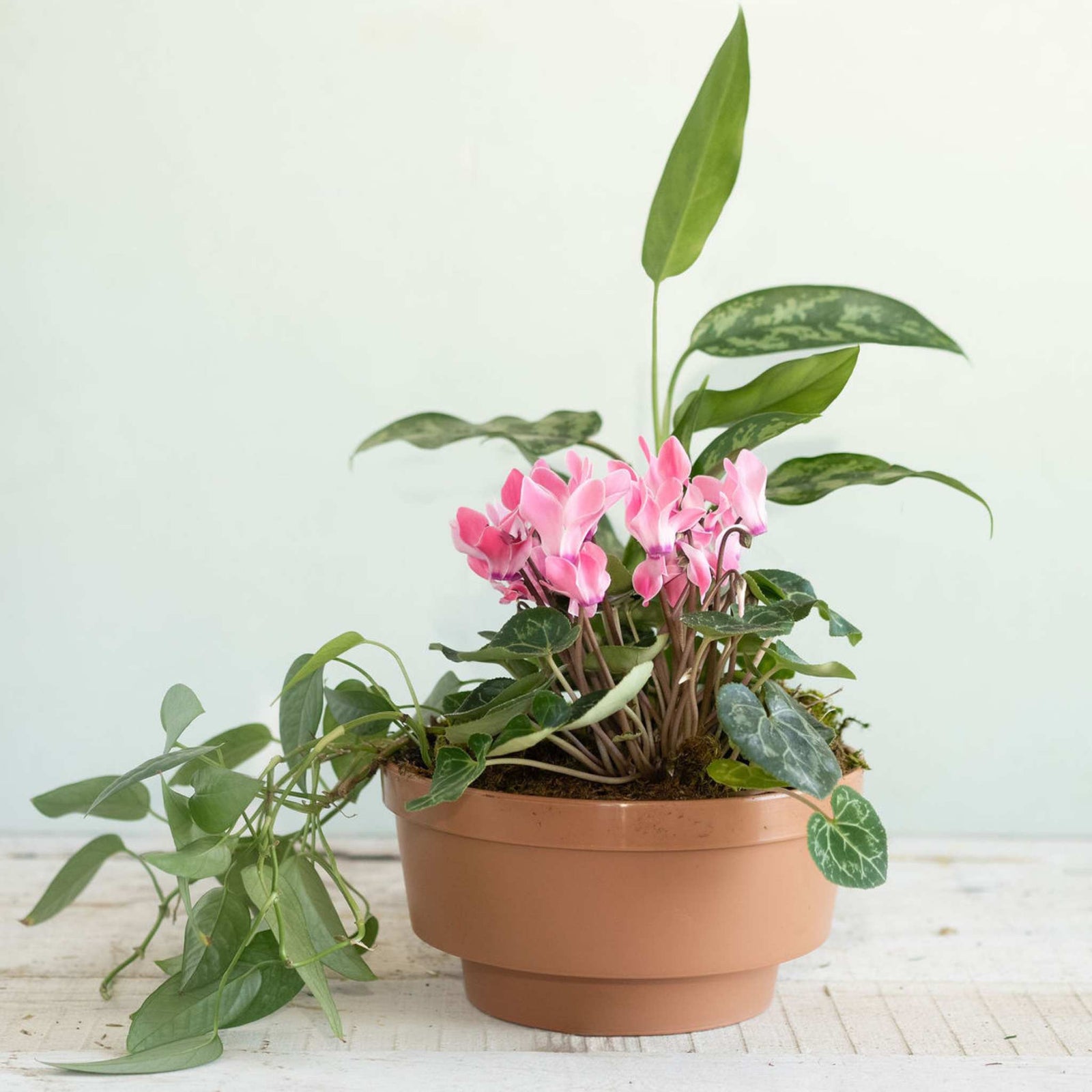 8" Garden Bowl Spring Arrangement