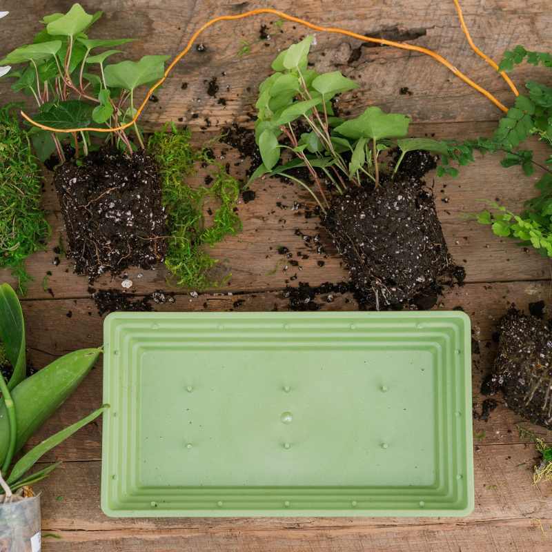 Ringware rectangular tray 10" x 5" bamboo green