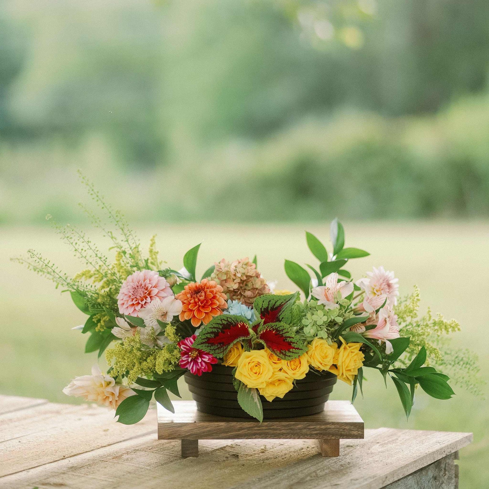 Ringware 9" black lifestyle