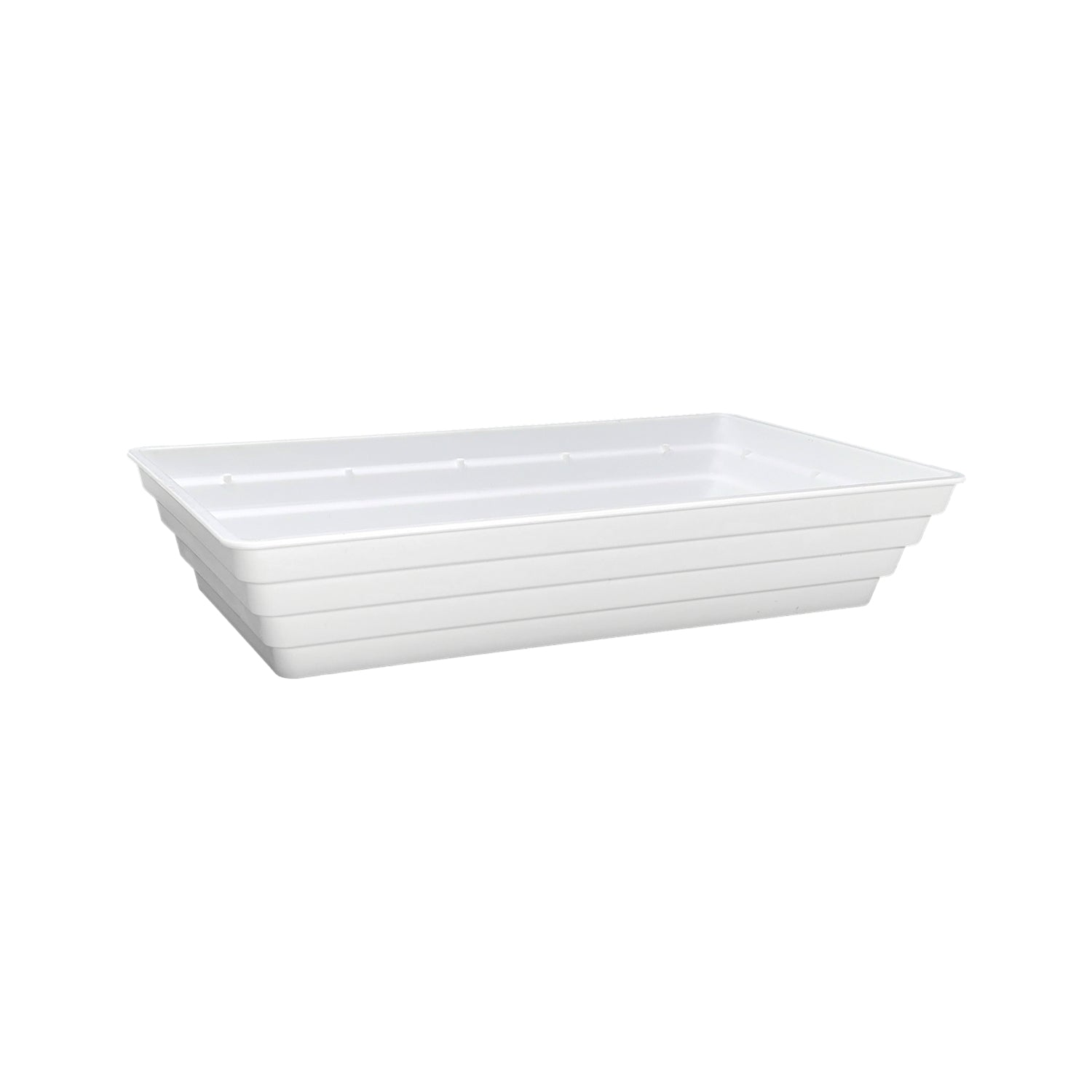 white rectangular 10" x 5" ringware tray