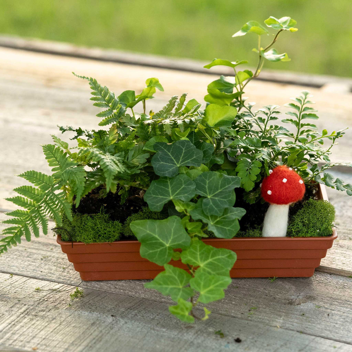 clay ringware tray