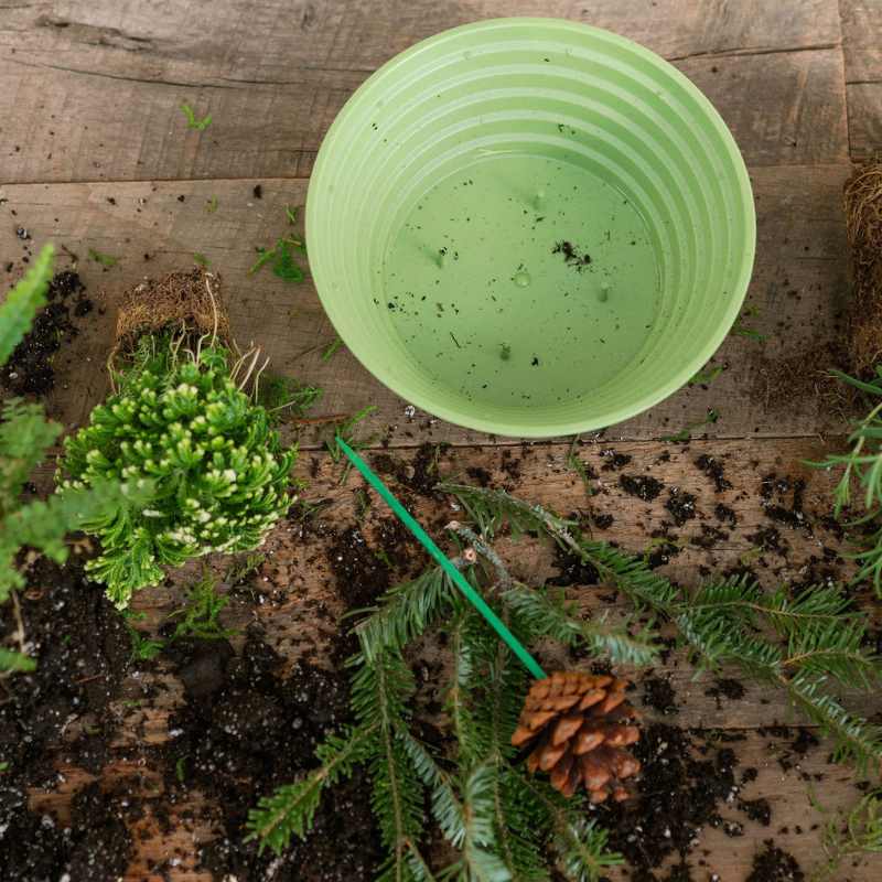 Making arrangement with bamboo green 7" ringware
