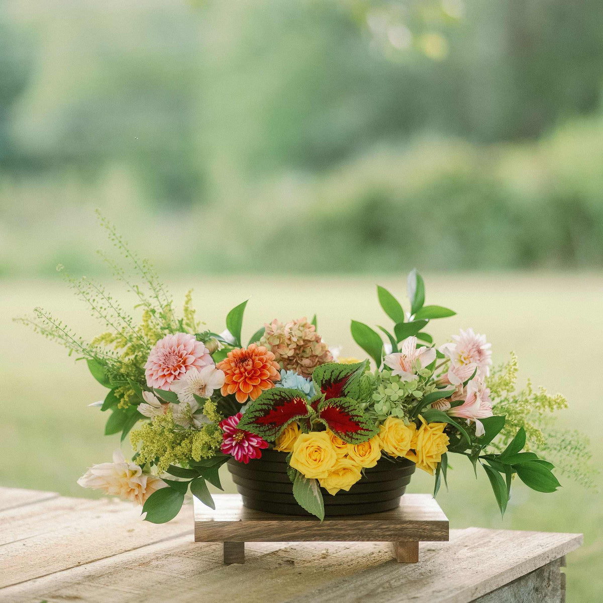 Ringware 9" black lifestyle