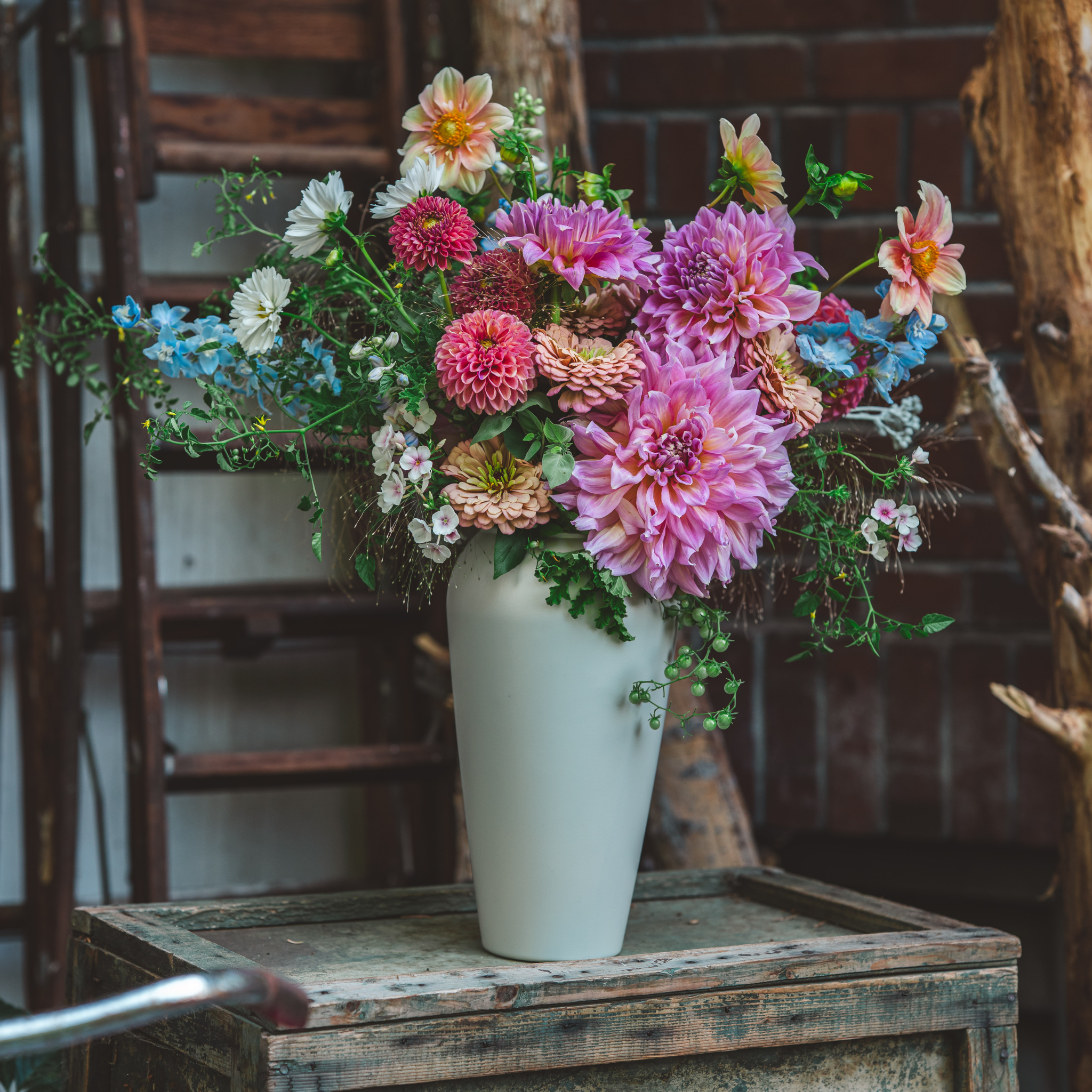 Classic Vase Pearl / Case (6 Pieces)