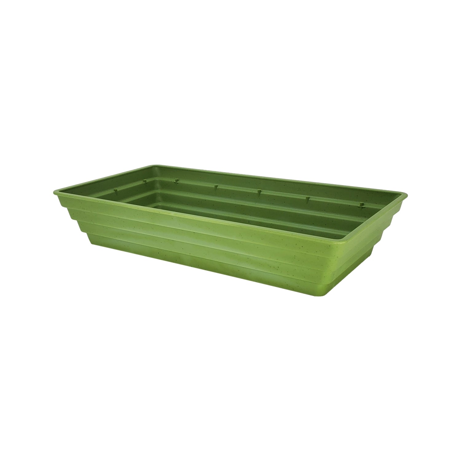 10" x 5" Ringware Tray in Bamboo Green
